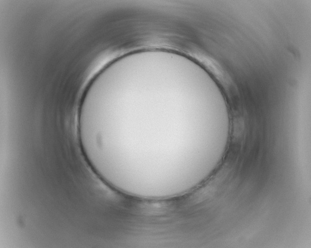 X0000115601286200911241547