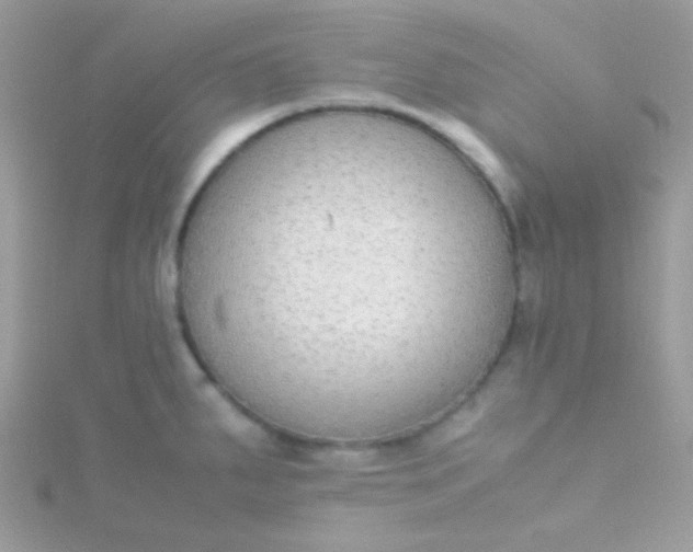 X0000115601287200911241547