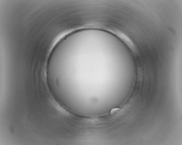 X0000115601288200911241547