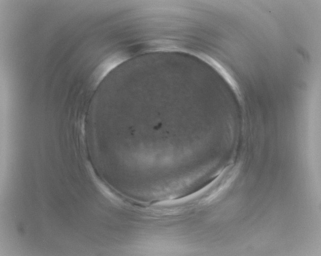 X0000115601289200911241547