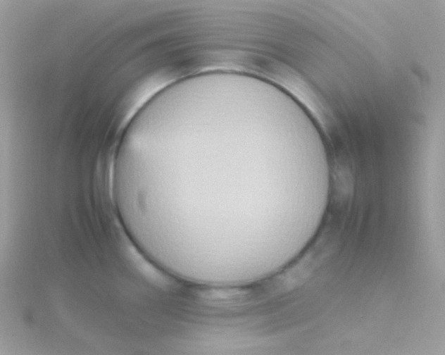 X0000115601290200911241547