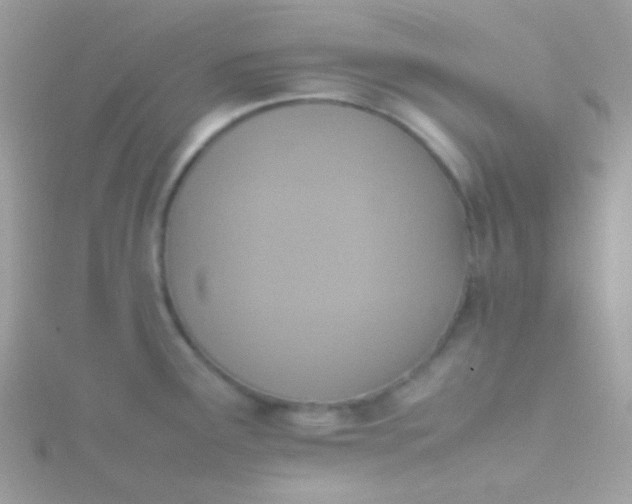 X0000115601291200911241547