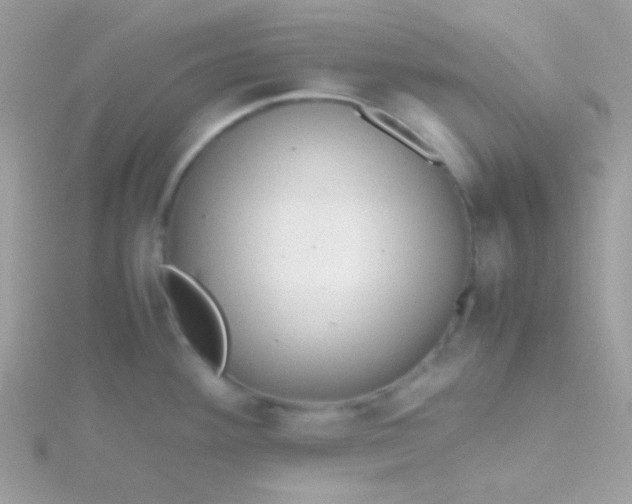 X0000115601292200911241547