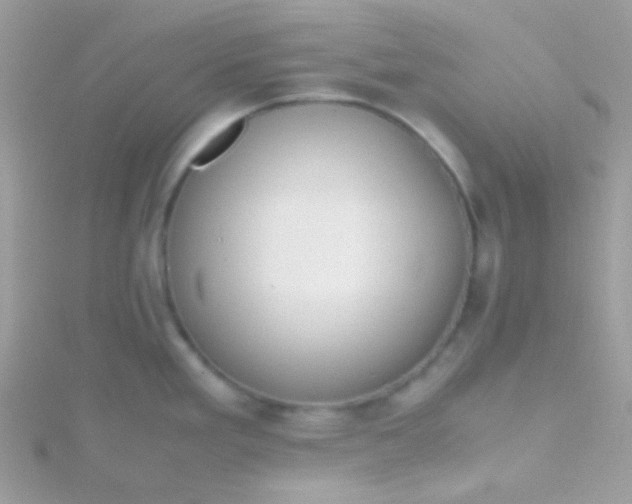 X0000115601293200911241547