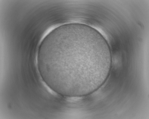 X0000115601294200911241547