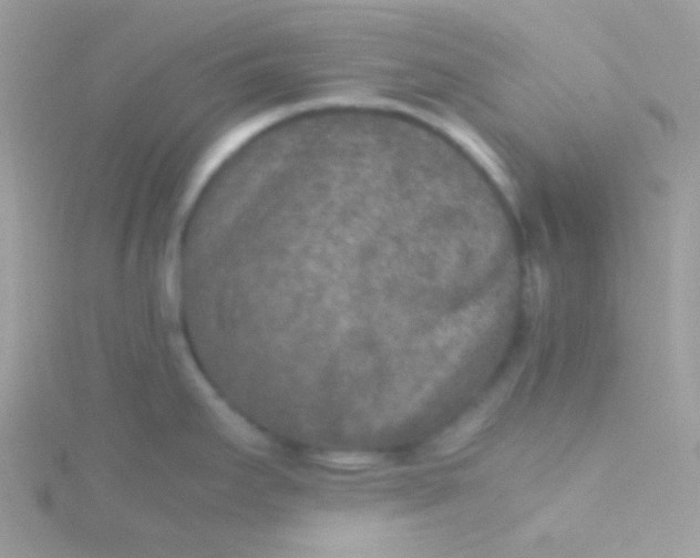 X0000115601295200911241547