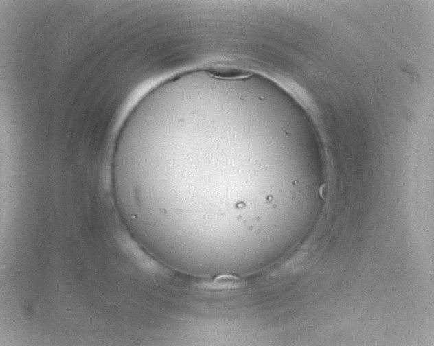 X0000115601296200911241547