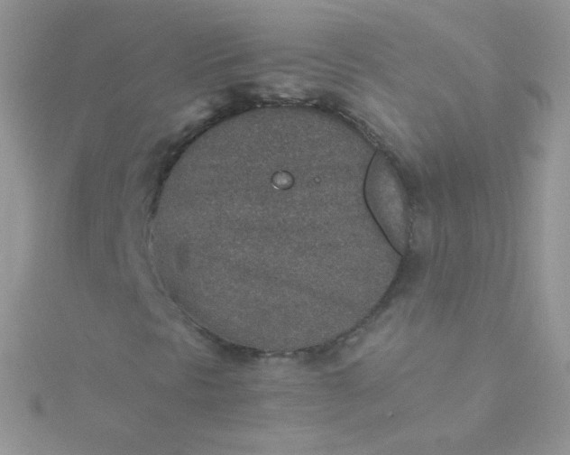 X0000115601297200911241546