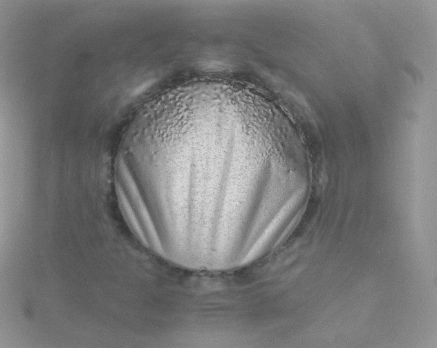 X0000115601301200911241546