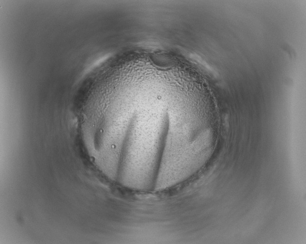 X0000115601302200911241546