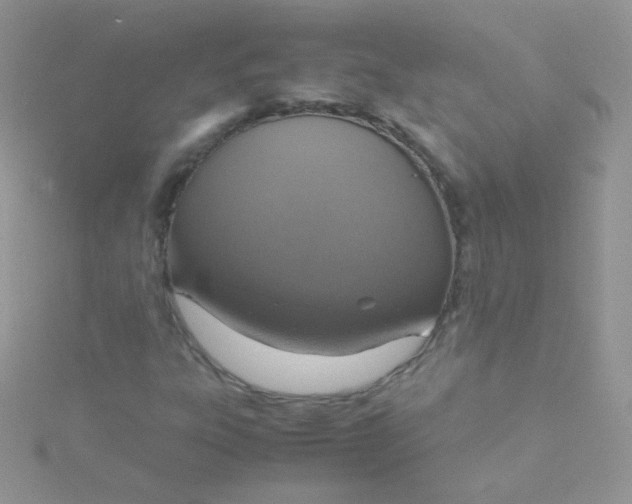 X0000115601303200911241546