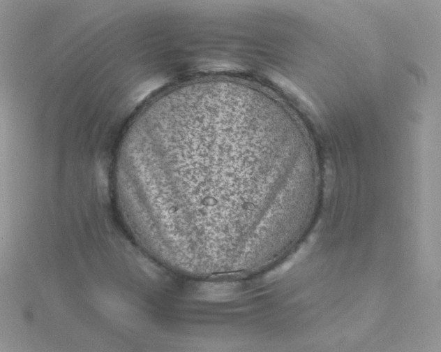 X0000115601305200911241546