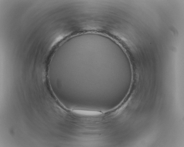 X0000115601306200911241546