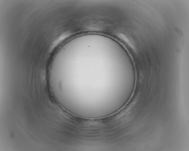 X0000115601307200911241547