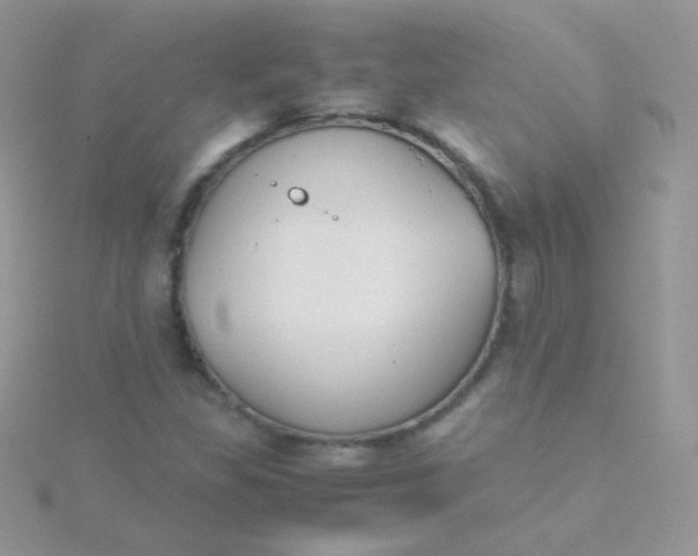 X0000115601309200911241547