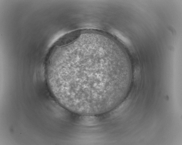 X0000115601310200911241547