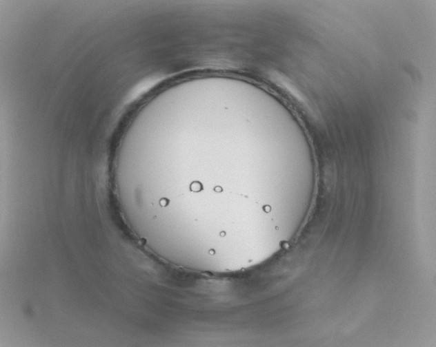 X0000115601315200911241547