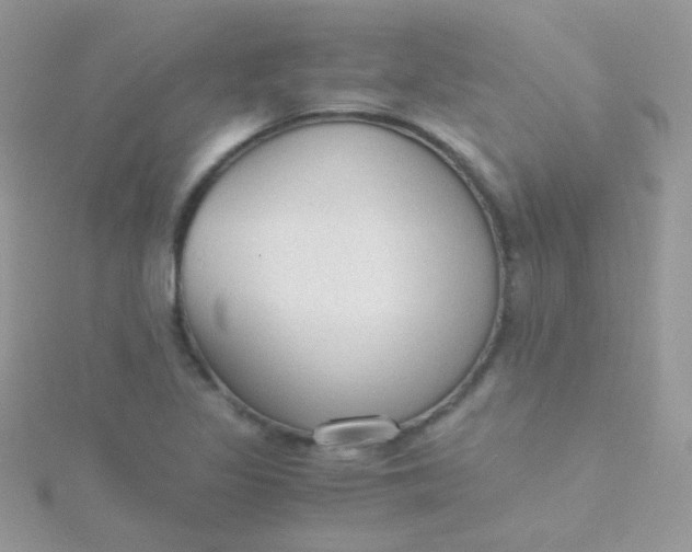 X0000115601317200911241547