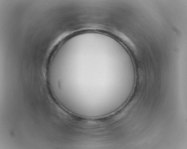 X0000115601318200911241547