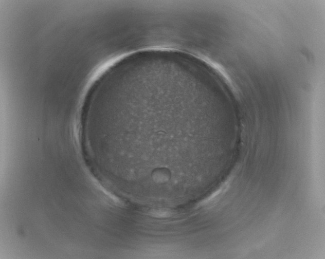 X0000115601319200911241547