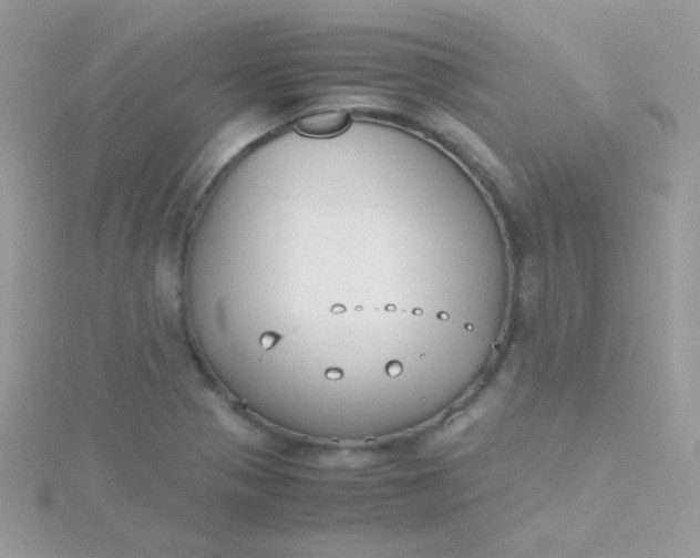 X0000115601321200911241547