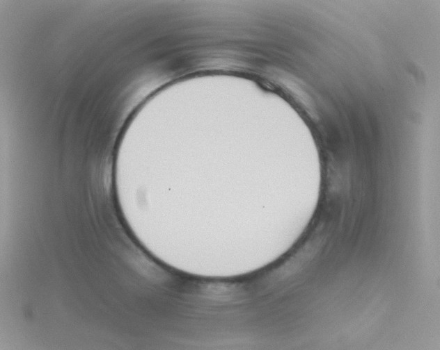 X0000115601322200911241547