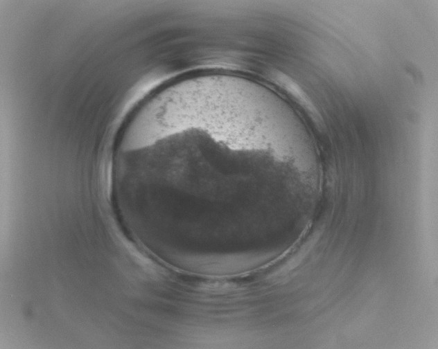 X0000115601323200911241547