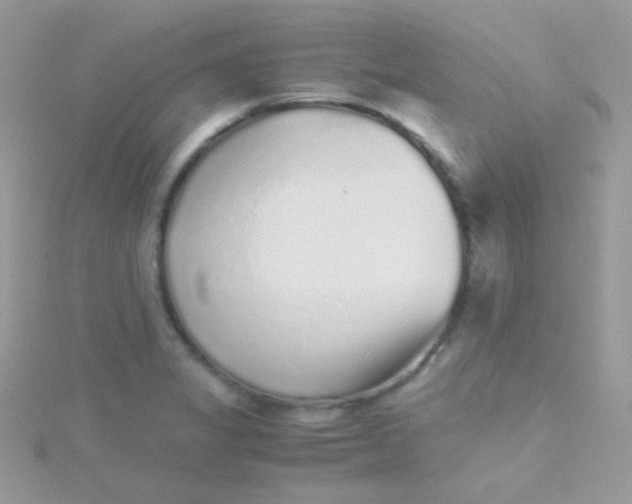 X0000115601325200911241547