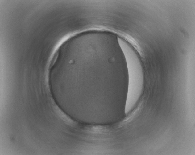 X0000115601326200911241547