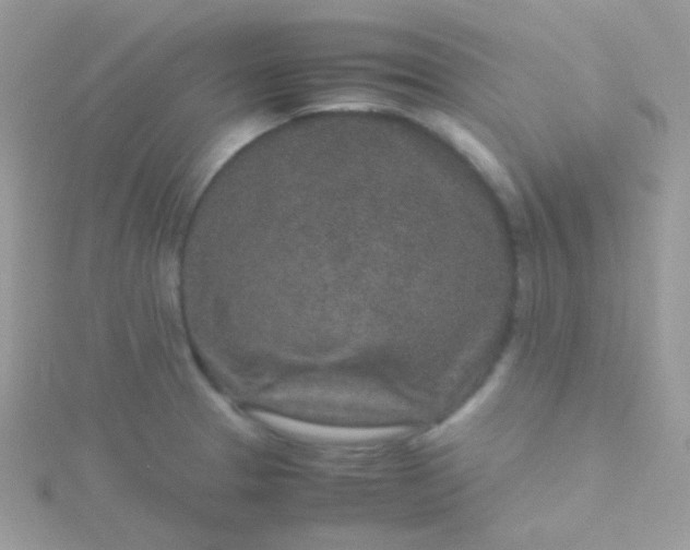 X0000115601329200911241547