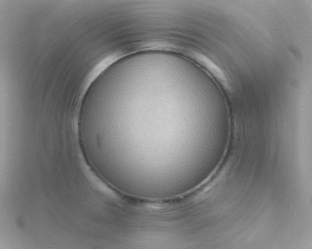 X0000115601330200911241547