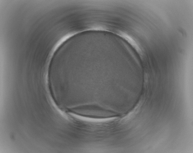 X0000115601331200911241547