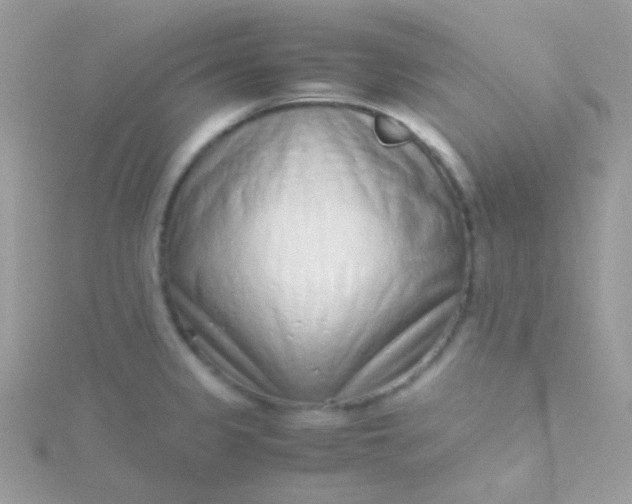 X0000115601333200911241547