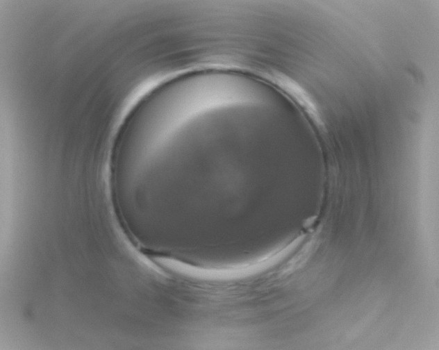 X0000115601334200911241547