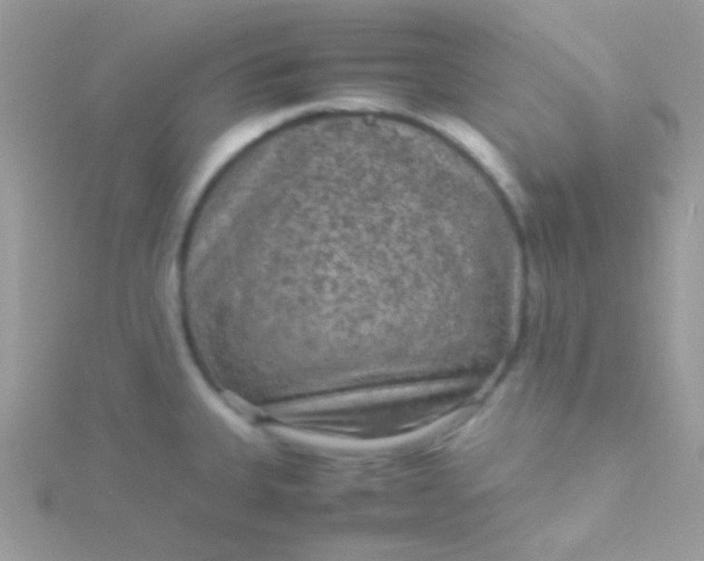 X0000115601335200911241547