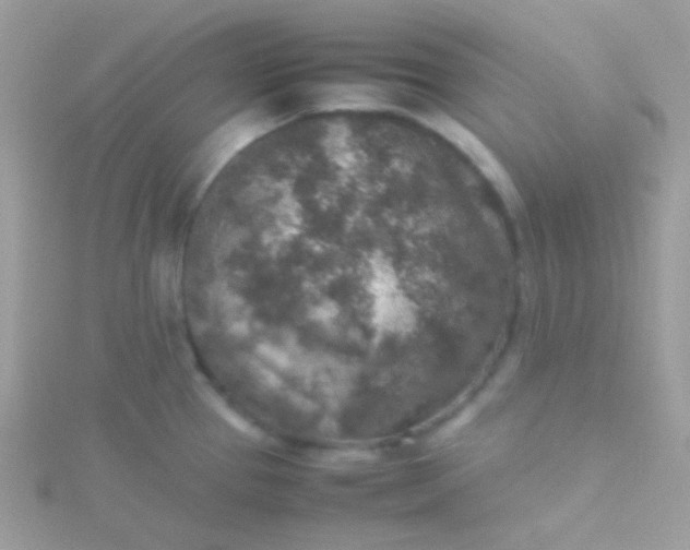 X0000115601337200911241547