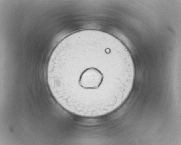 X0000115601338200911241547