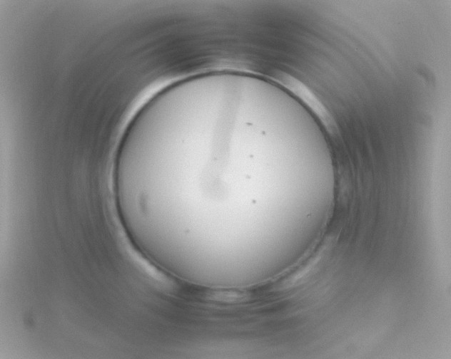 X0000115601339200911241547