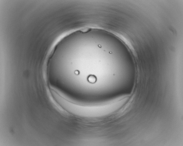 X0000115601342200911241547