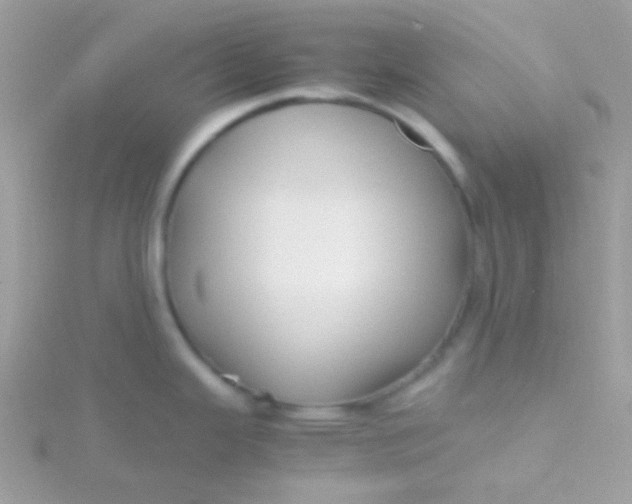 X0000115601343200911241547