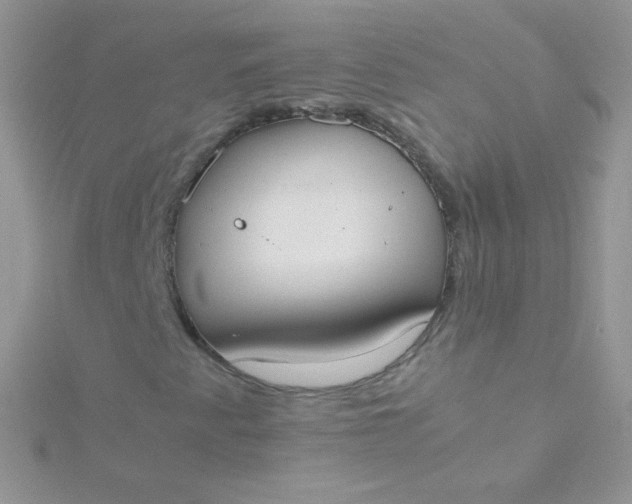 X0000115601345200911241546