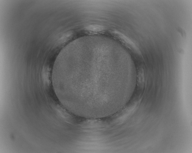 X0000115601346200911241546