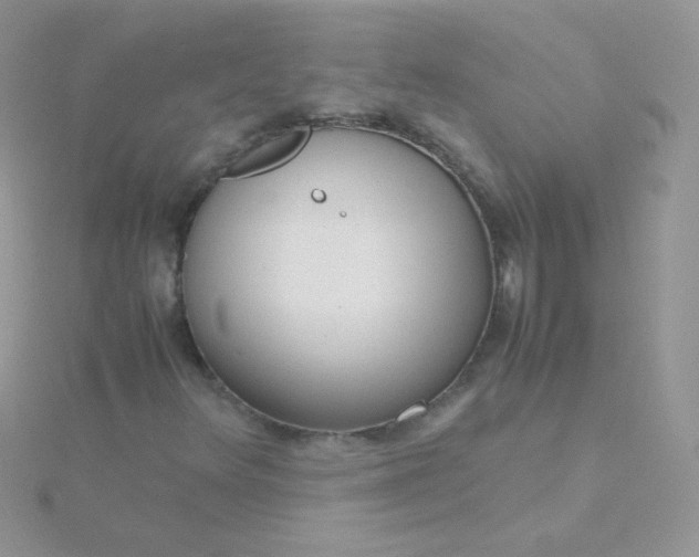 X0000115601348200911241546