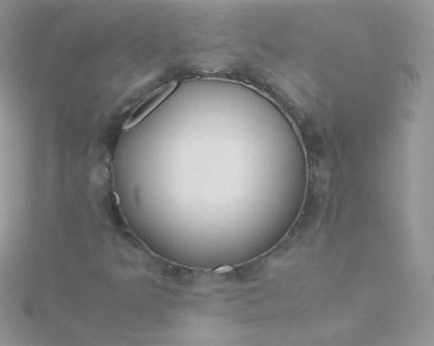 X0000115601349200911241546