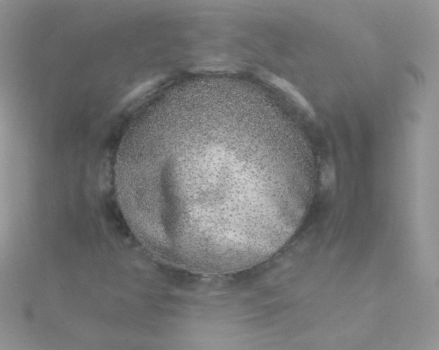 X0000115601350200911241546