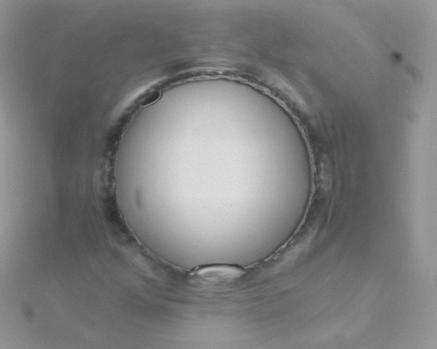 X0000115601352200911241546