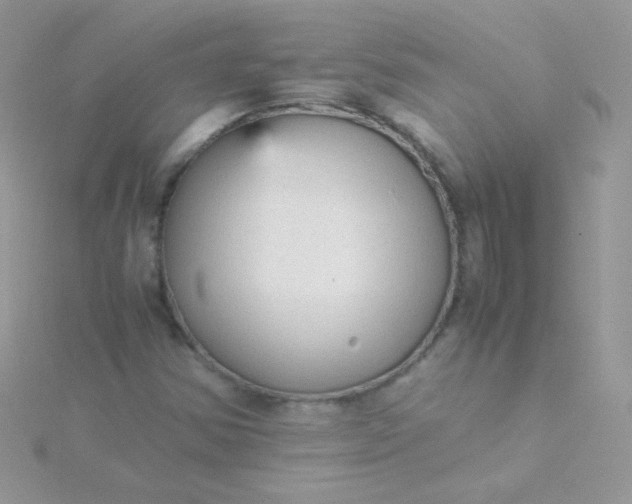 X0000115601354200911241546