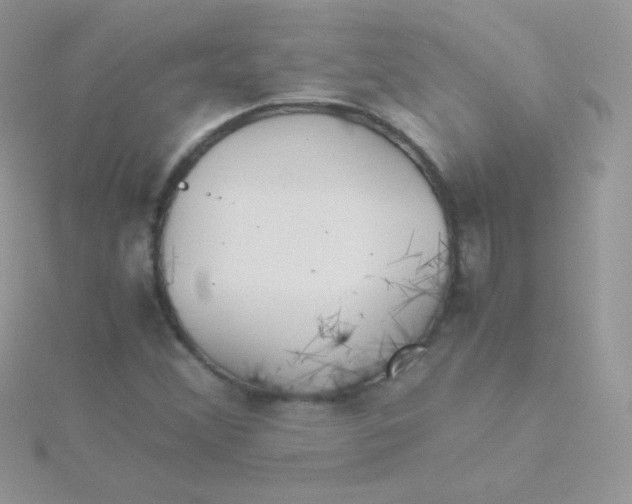 X0000115601356200911241546