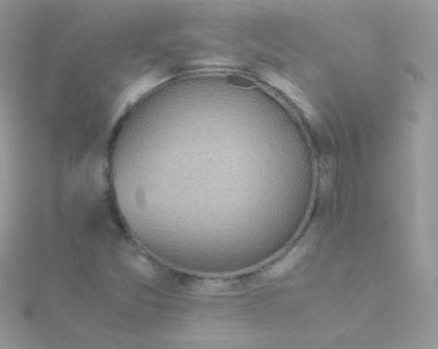 X0000115601357200911241546