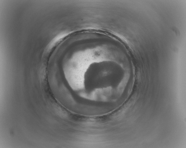 X0000115601359200911241546